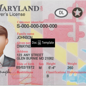 Maryland Driver License Template