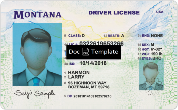 Montana Driver License Template